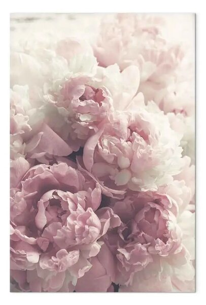 Quadro moderno Delicate peonie verticale