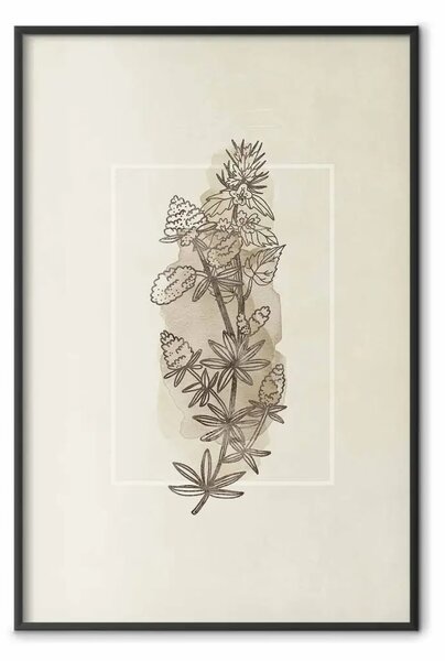 Poster: Schizzo campestre - pianta con fiori su beige retro