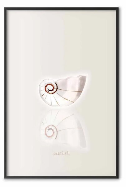 Poster: Guscio in ceramica
