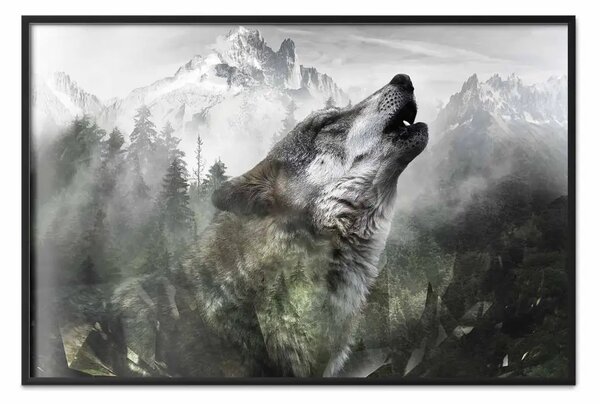 Poster: Lupo ululante - animale selvatico su sfondo boschivo