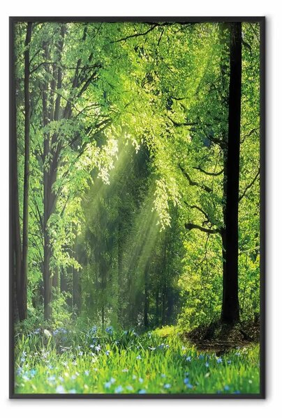 Poster: Rinascita natura - paesaggio verde foresta con raggi solari