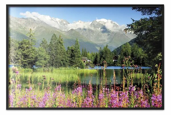Poster: Primavera Alpi - alberi verdi sfondo lago