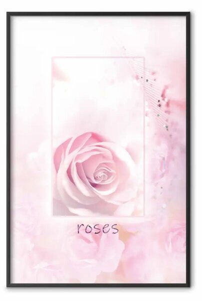 Poster: Mondo rosa - fiore rosa naturale con scritte in inglese
