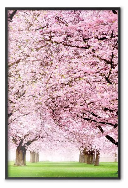Poster: Giardino di ciliegi - paesaggio di erba verde e alberi con foglie rosa