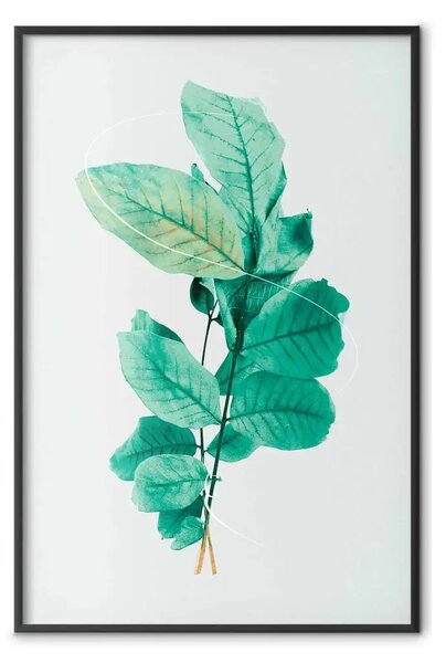 Poster: Grazia menta - piante con foglie di menta su chiaro