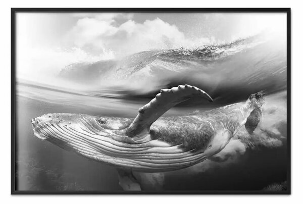 Poster: Balena bianco e nero - paesaggio marino con balena su sfondo d'onda