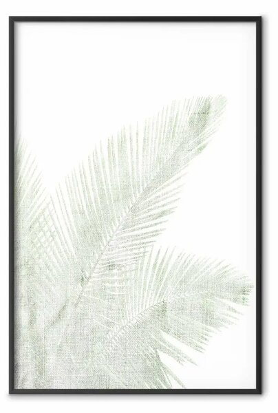 Poster: Verde velluto - foglia di palma verde su sfondo bianco contrastante