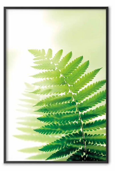 Poster: Felce - pianta naturale con foglie di felce su sfondo verde luminoso