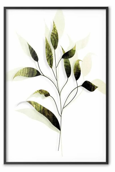Poster: Rametto d'olivo - pianta con foglie verdi su sfondo bianco chiaro