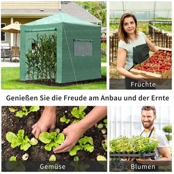 Outsunny Serra Tunnel per Pomodori con Porta e Finestra Avvolgibile PE Acciaio Verde scuro 238 x 178 x 240 cm | Aosom Italy