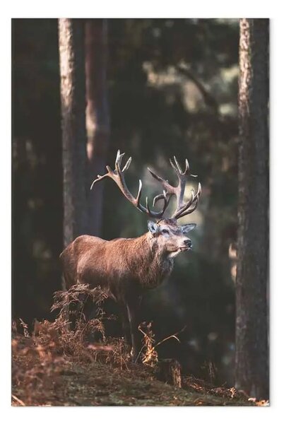 Quadro moderno Dignitario della foresta verticale