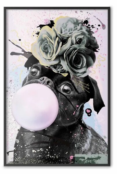 Poster: Carlino gomma - cane nero e divertente con fiori pastello