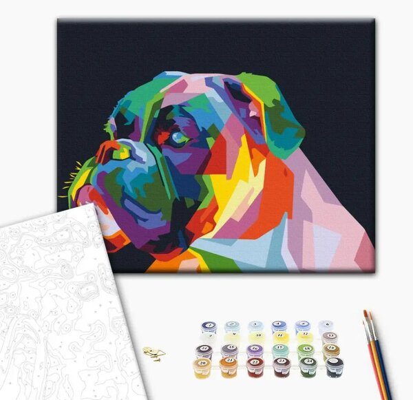 Quadro da dipingere con i numeri Pugile colorato
