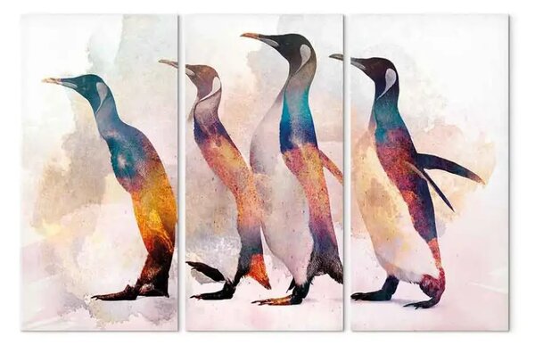 Quadro su tela Giro dei pinguini (3 pezzi) - uccelli colorati su sfondo creativo