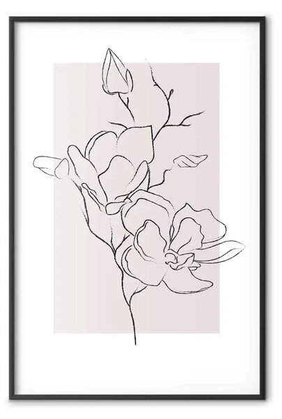 Poster: Magnolia cremosa - astratto disegno linea fiore magnolia su chiaro
