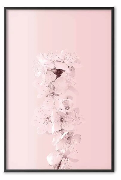 Poster: In fiore - composizione rosa di piante con fiori su sfondo uniforme
