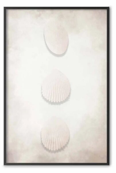 Poster: Ricchezza dell'oceano - paesaggio conchiglie bianche su sabbia