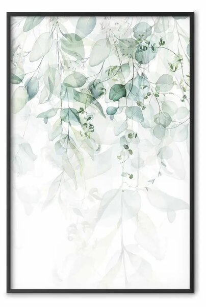 Poster: Tocco delicato della natura