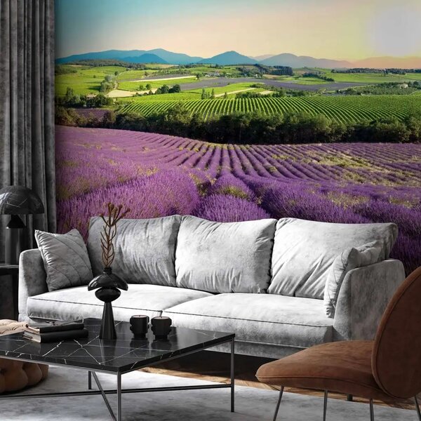 Carta da parati moderna Campo di lavanda - paesaggio di valle con campi verdi e montagne al tramonto