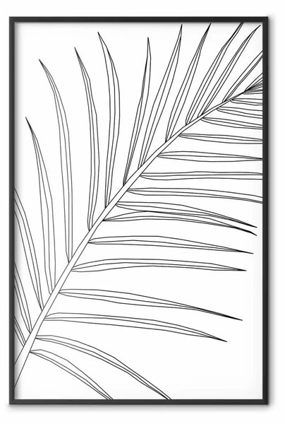 Poster: Foglia di palma - line art nera di foglia su bianco