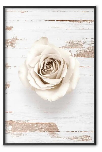 Poster: Vortice pastello - rosa bianco su sfondo di tavole di legno chiare