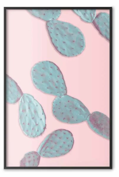 Poster: Opuntia toni pastello - composizione pianta su pastello