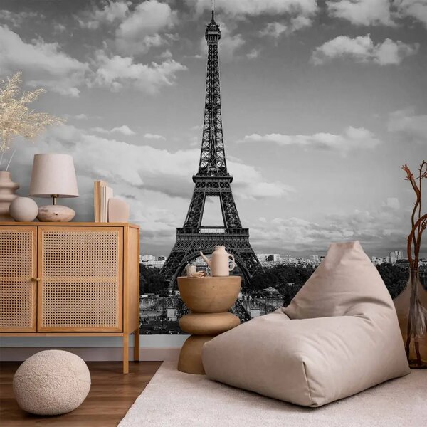 Carta da parati Parigi e la Torre Eiffel - architettura in bianconero con torre
