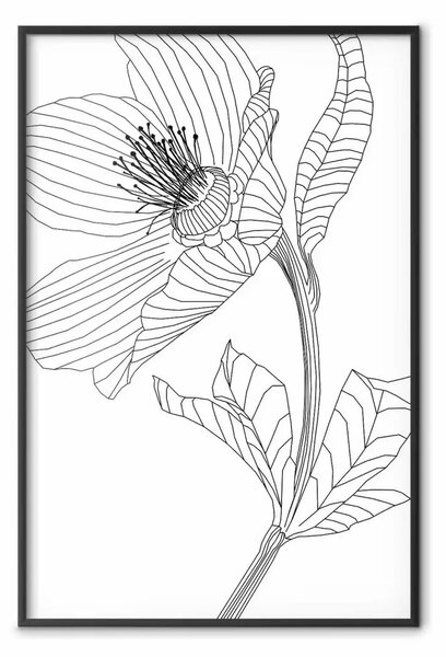 Poster: Schizzo primaverile - line art pianta su bianco