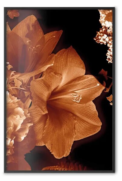 Poster: Gigli scuri - composizione di fiori rossi su sfondo nero uniforme