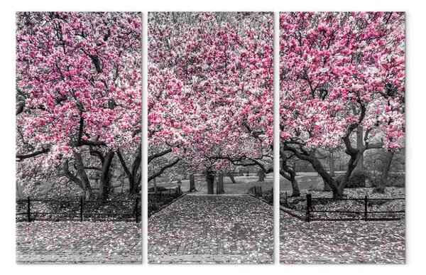 Quadro moderno Magnolia fiorita - trittico con alberi di magnolia e fiori rosa