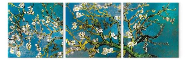 Quadro contemporaneo Mandorlo fiorito (3 pezzi) - albero tortuoso con fiori bianchi