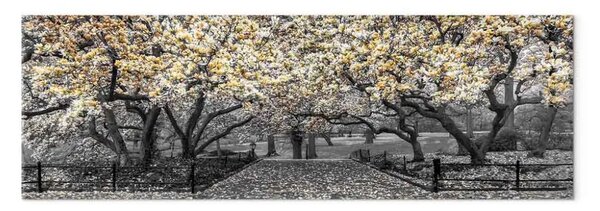 Quadro su tela Magnolia fiorita - composizione orizzontale magnolia in toni gialli