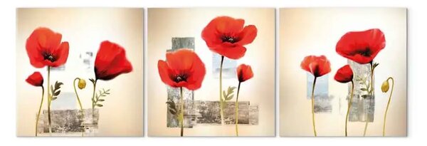 Quadro Impressione con papaveri (3 pezzi) - Fiori rossi su sfondo astratto