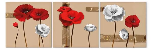 Quadro moderno Papaveri bianchi e rossi - un trittico con fiori su uno sfondo marrone