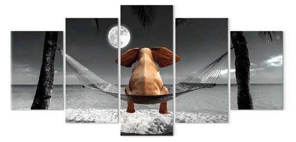 Quadro moderno Elefante sull'amaca (5 pezzi) largo - elefante fantasia sulla spiaggia