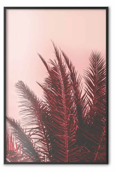 Poster: Palme al tramonto - composizione botanica con piante tropicali