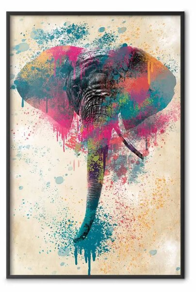 Poster: Proboscide dell'elefante