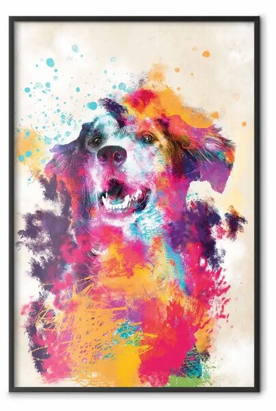 Poster: Cane acquerello - unica astrazione colorata con animale domestico