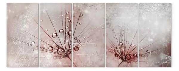 Quadro Soffioni bagnati (5 pezzi) stretto - fiori in motivi astratti