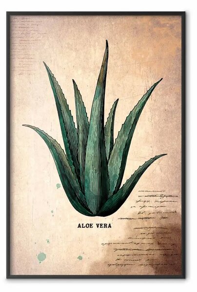 Poster: Erbario - composizione vintage con pianta verde su sfondo marrone
