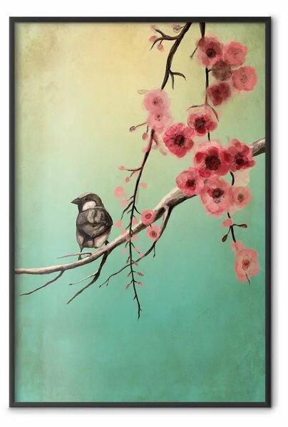 Poster: Fiori di ciliegio - composizione colorata con uccello