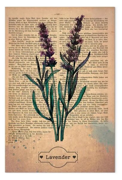Quadro Memoria di lavanda verticale - lavanda in stile vintage