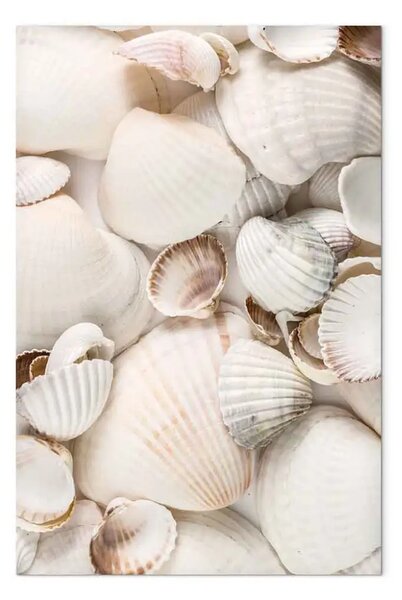 Quadro moderno Collezione marina verticale - panorama con conchiglie marine