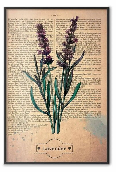 Poster: Ricordo di lavanda - composizione con fiori di lavanda e scritte