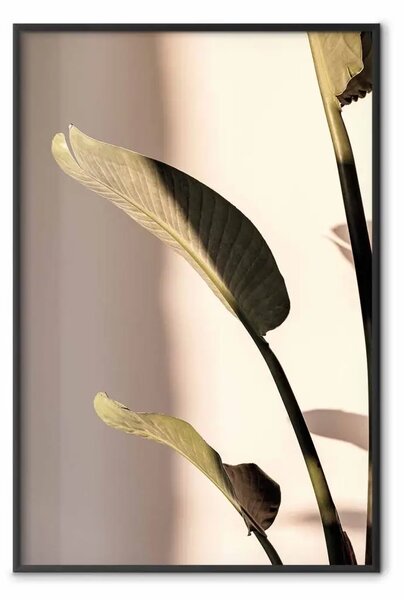 Poster: Ritmo solare - composizione con foglia verde
