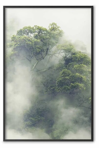 Poster: Amazzonia nebbiosa - paesaggio di cime verdi tra una fitta nebbia