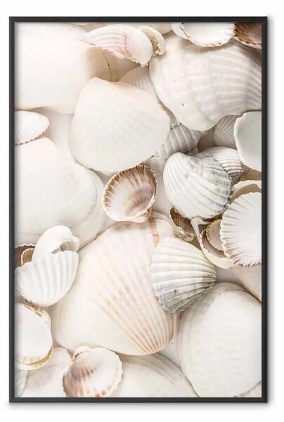 Poster: Collezione marittima