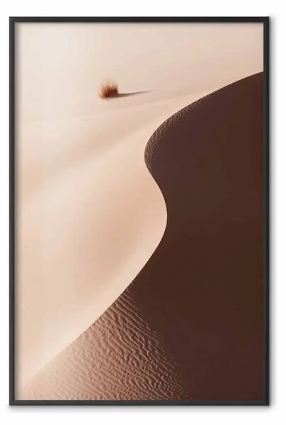 Poster: Serpentina - tranquillo paesaggio di dune nel deserto