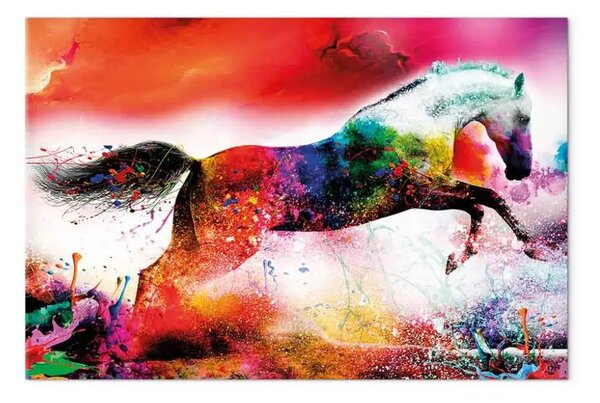 Quadro Stallone allegro largo - animale colorato astratto