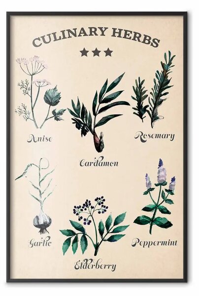 Poster: Erbe da cucina - composizione di piante commestibili con scritte nere